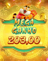 8555bet